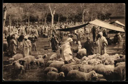 AK Scènes Algériennes, Marché aux Moutons