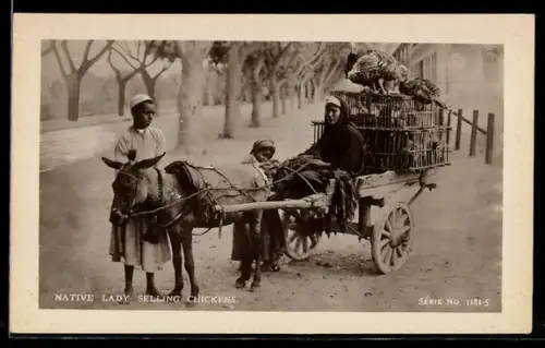 AK Cairo, Native Lady Selling Chickens, Eselwagen