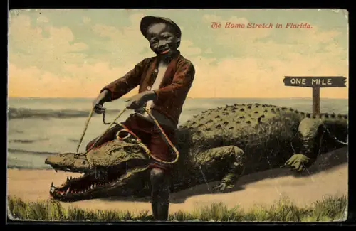 AK Alligatorritt in Florida