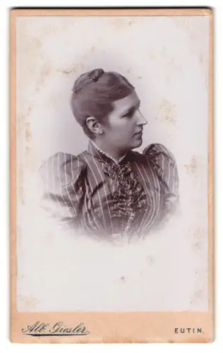 Fotografie Alb. Giesler, Eutin, Kielerstrasse No. 6, Damenportrait im Profil