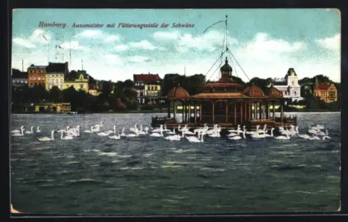 AK Hamburg, Aussenalster, Fütterungsstelle der Schwäne