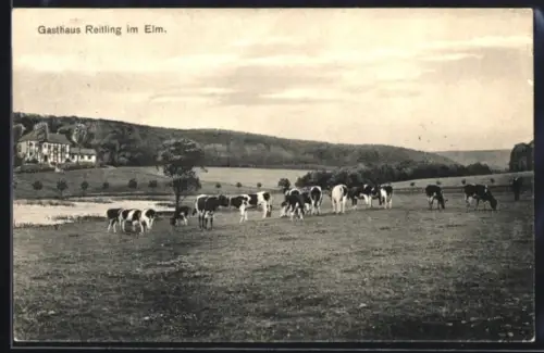 AK Reitling im Elm, Gasthaus Reitling, Weide mit Rindern