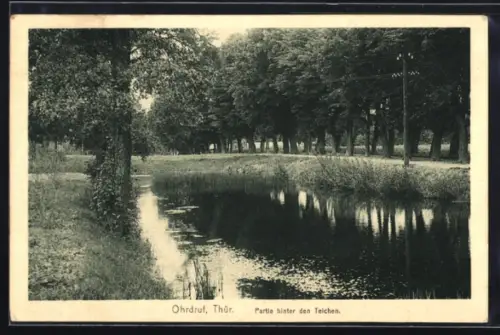 AK Ohrdruf /Thür., Partie hinter den Teichen