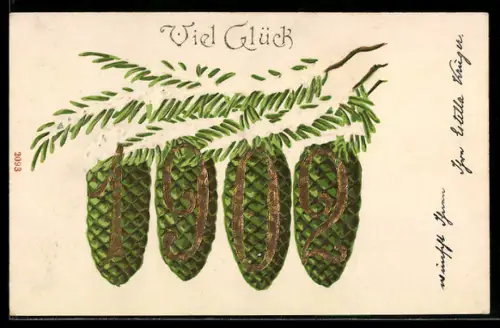 Präge-AK Neujahrsgruss mit Tannzapfen