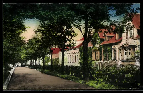 AK Kaiserslautern, Parkstrasse mit Bäumen