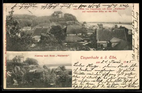 AK Tesperhude a. d. Elbe, Süd-Partie mit Hotel Waldesruh, Ortspartie