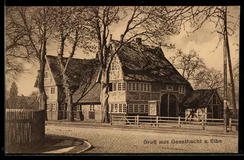 AK Geesthacht a. Elbe, Strassenpartie mit Gehöft