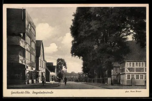 AK Geesthacht /Elbe, Bergedorferstrasse mit Radfahrer