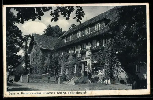 AK Fallingbostel, Gast- und Pensions-Haus Friedrich Köning