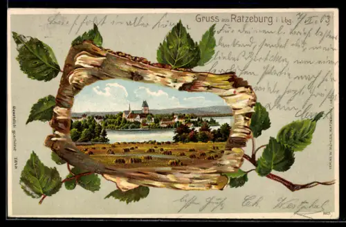 Passepartout-Lithographie Ratzeburg, Panorama