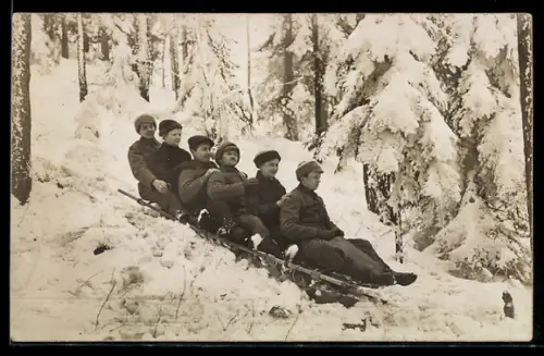 Foto-AK Gruppe bei der Schlitten-Abfahrt im Wald
