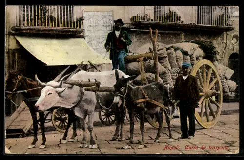 AK Neapel / Napoli, Carro da trasporto