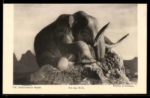 AK Rotes Kreuz Russland, Elephas primicenius
