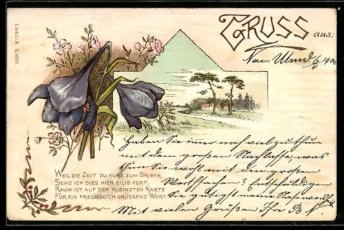 AK Ortspartie mit Blumen im Passepartout, Ansichtskartengeschichte, mit Vers