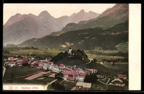 AK Château d`Oex, Panorama