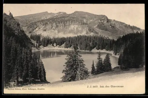 AK Lac des Chavonnes, Panorama