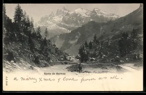 AK Barmaz, La Sortie