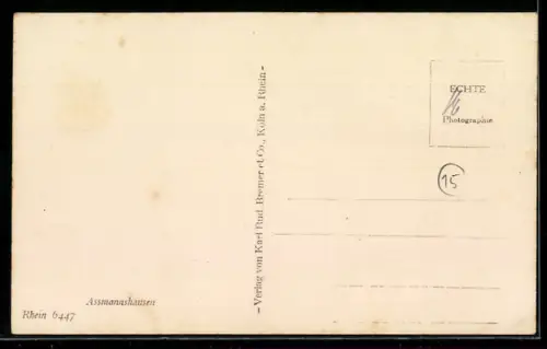 AK Rheindampfer Vaterland vor Assmannshausen