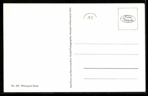 AK Köln, Raddampfer Schiller am Rheinufer vor dem Dom