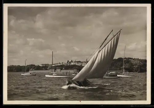 AK Hamburg, Segelboote auf der Aussenalster, Segelsport