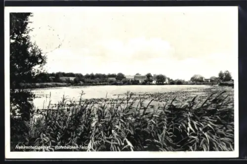 AK Belgershain /Leipzig, Rohrbacher Teiche, Naturschutzgebiet, Ortspartie mit Gebäuden am Ufer