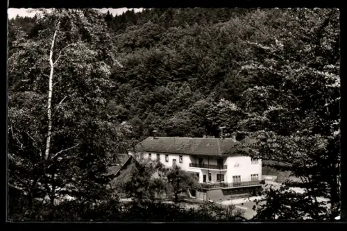 AK Schwarzbach, Gasthaus-Pension Waldesruh, Inh. Otto Schwarz, Waldlandschaft