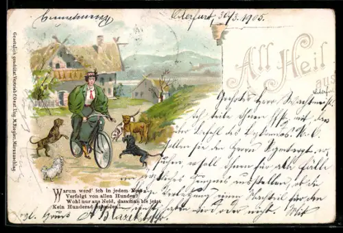 Künstler-AK Fahrrad-Fahrerin wird von Hunden verfolgt