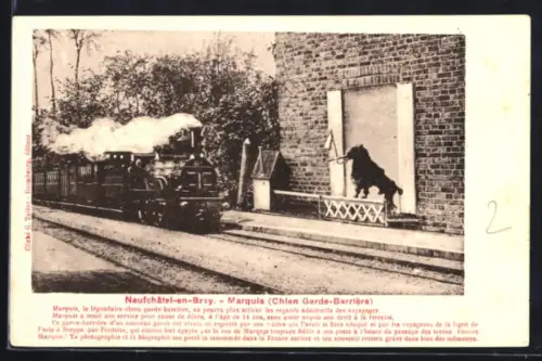 AK Neufchatel-en-Bray, Chien Garde-Barrière Marquis