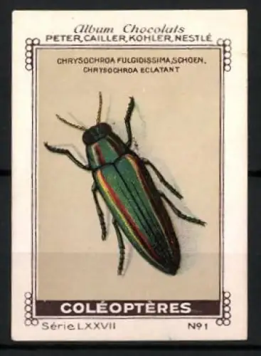 Reklamemarke Album Chocolats, Peter, Cailler, Kohler & Nestlé, Grüner Käfer Coleopteres