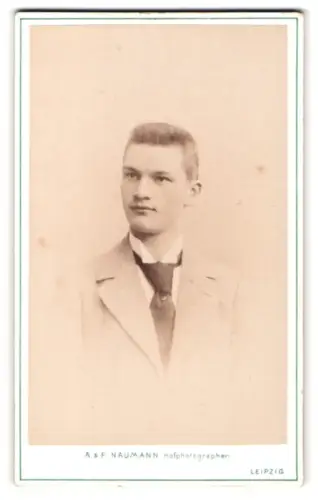 Fotografie A. & F. Naumann, Leipzig, Dorotheenstr. 6, Junger Herr im Anzug mit Krawatte
