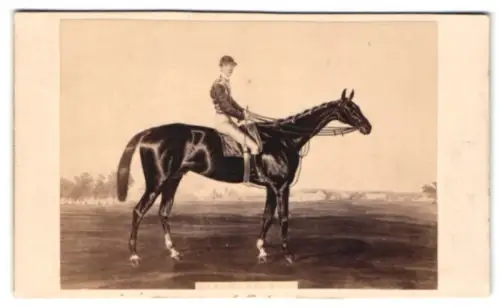 Fotografie Collé & Vérane, Marseille, Rue St. Ferreol 14, Reiter Pferd Black Prince nach einem Gemälde von Harry Hall