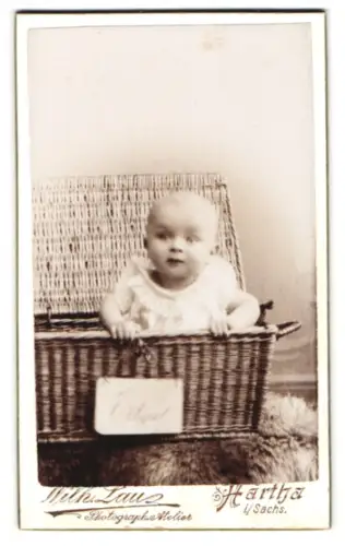 Fotografie Wilh. Lau, Hartha i. Sa., Waldheimerstr. 6, Kleinkind im Korb auf einem Fell