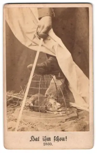 Fotografie unbekannter Fotograf und Ort, Napoleon III als Ratte in einem Käfig, 1870 Krieg