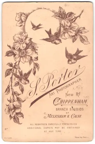 Fotografie S. Porter, Chippenham, New Rd, Drei Schwalben bei einem Zweig in voller Blüte