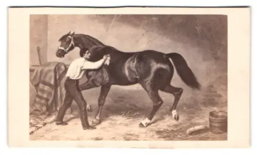 Fotografie Bulla Frères, Paris, Rue Tiquetonne 16, Mann wäscht ein Pferd, nach einem Gemälde