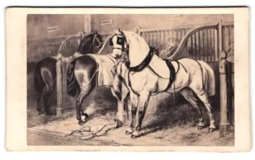 Fotografie Alfred Chardon Jeune, Paris, Rue Racine 3, Elegante Pferde in einem Stall, nach einem Gemälde