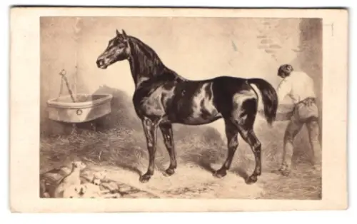 Fotografie Alfred Chardon Jeune, Paris, Rue Racine 3, Dunkles Pferd im Stall, nach einem Gemälde