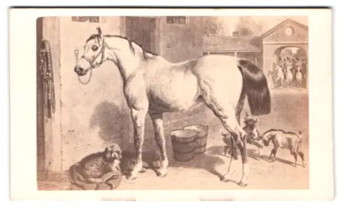 Fotografie Collé & Vérane, Marseille, Rue St. Ferreol 14, Pferd in einem Hof mit Ziegen und Hund, nach einem Gemälde