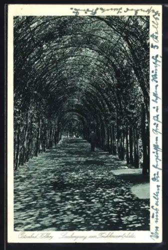 AK Kolberg, Laubengang am Frühkonzertplatz