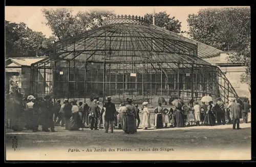 AK Paris, Au Jardin des Plantes, Palais des Singes