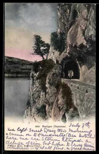 AK Merligen /Thunersee, Panorama mit Tunnel