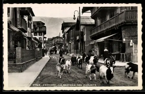 AK Zermatt, La Rentree des Chevres
