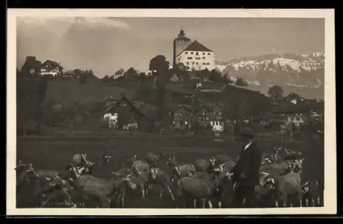 AK Werdenberg, Schloss und Hirte mit Ziegen