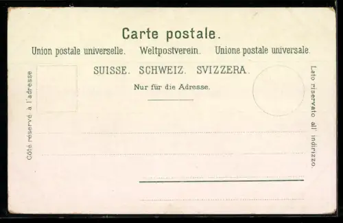 AK Rapperswil, Panorama mit Mole