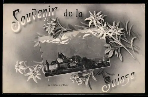 AK Aigle, Le Château, Edelweiss, Passepartout