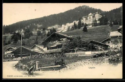 AK Leysin, Ortspartie mit Hotel