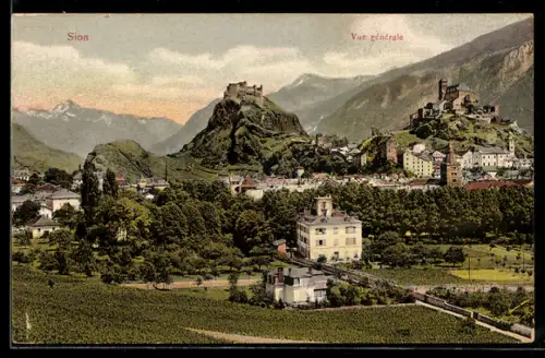 AK Sion, Vue générale