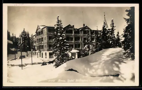 AK Arosa, Hotel Alexandra, Winteransicht