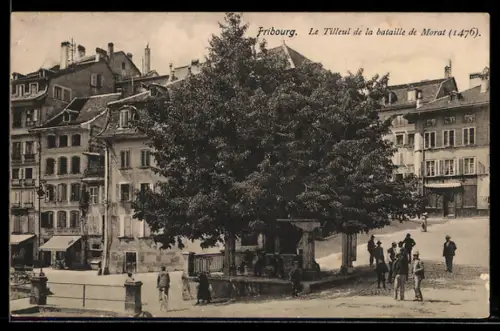 AK Fribourg, Le Tilleul de la bataille de Morat
