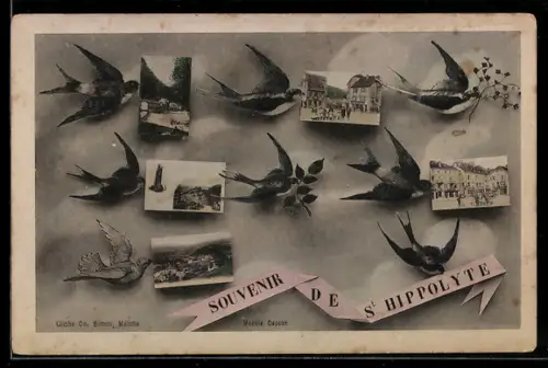 AK Saint-Hippolyte, Souvenir, Schwalben, Postkarten mit Ortspartien